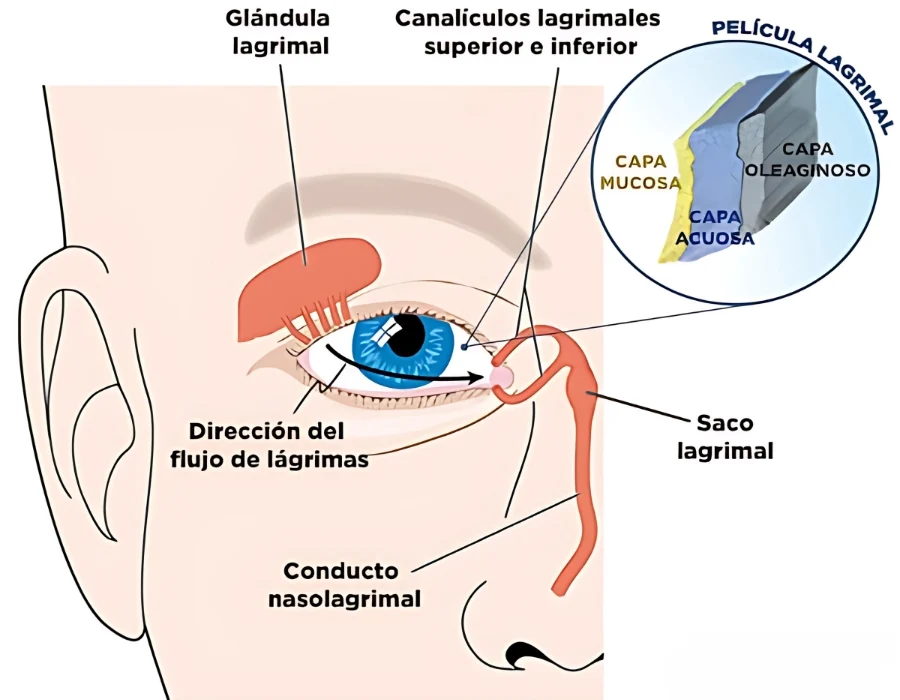 flujo de lágrimas